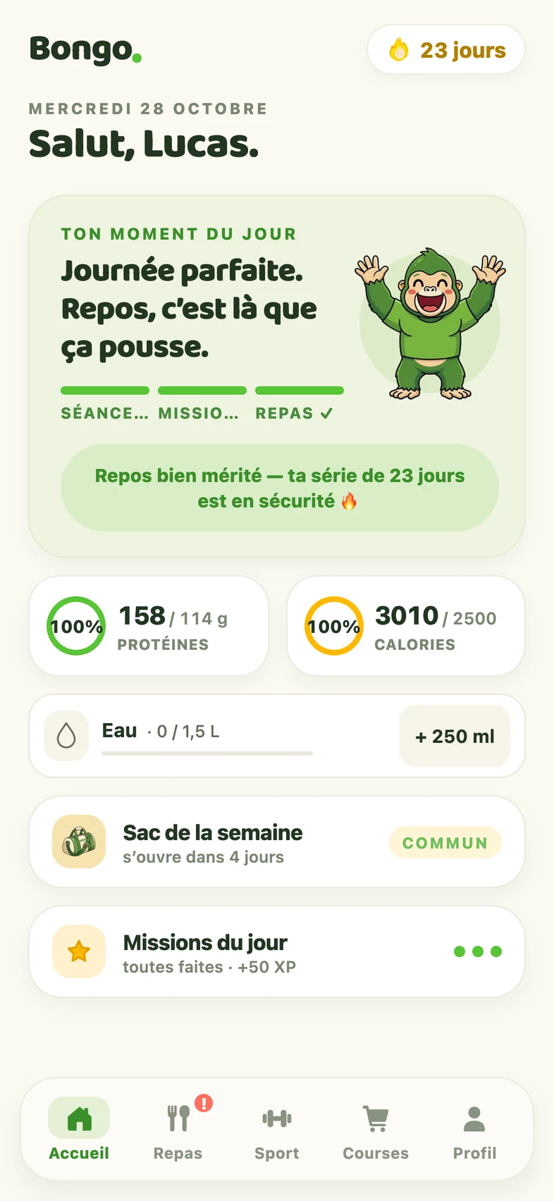 L'accueil de BONGO : journée parfaite, série de 23 jours